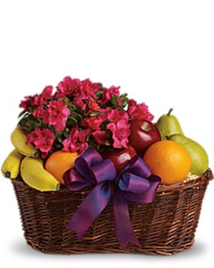 Food Trays & Baskets